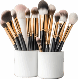 Makeup Brush